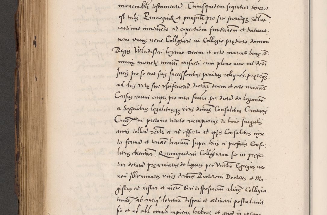Zdjęcie nr 716 dla obiektu archiwalnego: Acta actorum causarum, sentenciarum diffinitivarum quam interloquutiorum, decretorum, obligationum, quietationum et constitutionum procuratorum coram reverndo domino Petri Porembski preposito Ossviencimensi, canonico et officiali Cracoviensi generali ad annum Dimini 1556, inditione quatuor decima, pontificatus sanctissimi in Christo patris domini Pauli divina providencia pape IIII anno ispius.