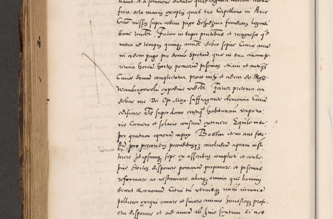 Zdjęcie nr 688 dla obiektu archiwalnego: Acta actorum causarum, sentenciarum diffinitivarum quam interloquutiorum, decretorum, obligationum, quietationum et constitutionum procuratorum coram reverndo domino Petri Porembski preposito Ossviencimensi, canonico et officiali Cracoviensi generali ad annum Dimini 1556, inditione quatuor decima, pontificatus sanctissimi in Christo patris domini Pauli divina providencia pape IIII anno ispius.