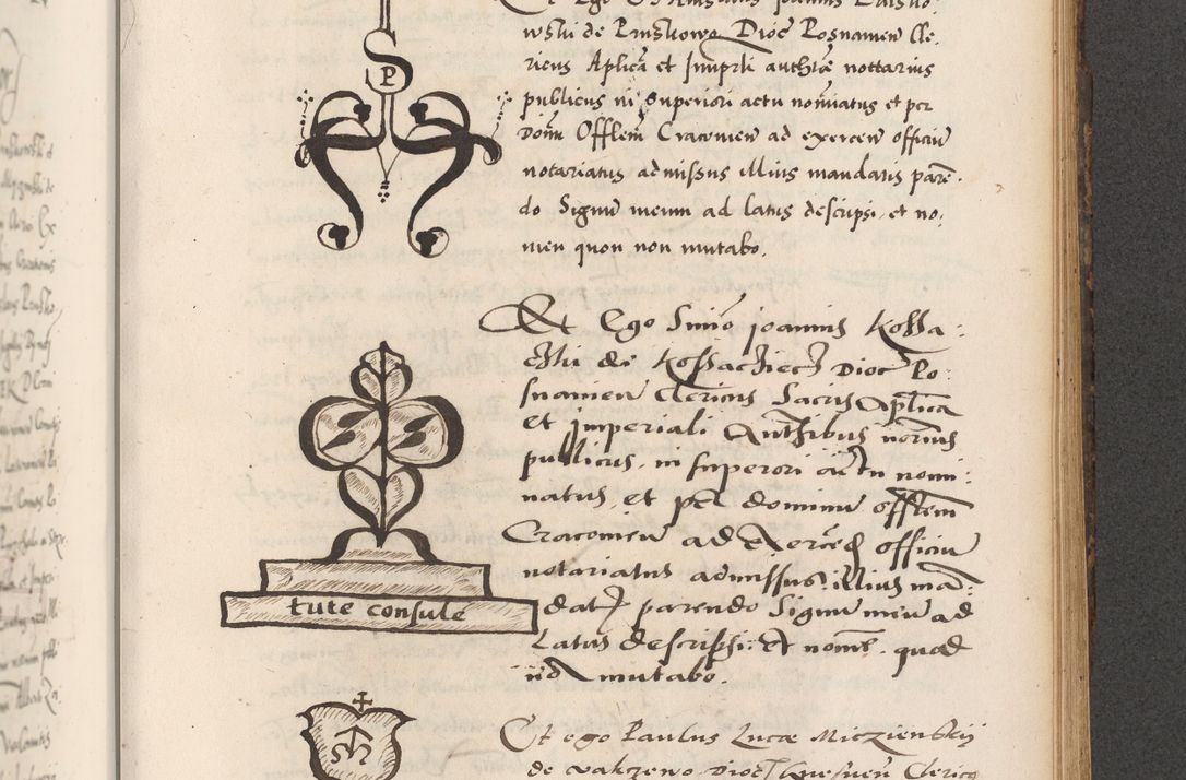 Zdjęcie nr 673 dla obiektu archiwalnego: Acta actorum causarum, sentenciarum diffinitivarum quam interloquutiorum, decretorum, obligationum, quietationum et constitutionum procuratorum coram reverndo domino Petri Porembski preposito Ossviencimensi, canonico et officiali Cracoviensi generali ad annum Dimini 1556, inditione quatuor decima, pontificatus sanctissimi in Christo patris domini Pauli divina providencia pape IIII anno ispius.