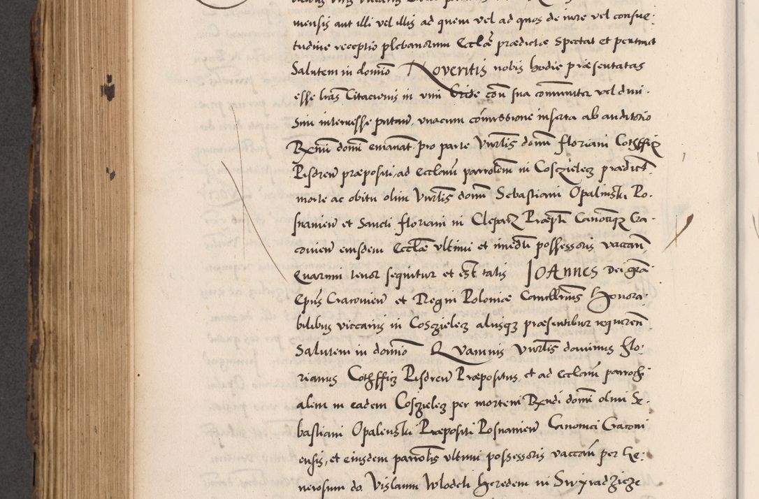 Zdjęcie nr 644 dla obiektu archiwalnego: Acta actorum causarum, sentenciarum diffinitivarum quam interloquutiorum, decretorum, obligationum, quietationum et constitutionum procuratorum coram reverndo domino Petri Porembski preposito Ossviencimensi, canonico et officiali Cracoviensi generali ad annum Dimini 1556, inditione quatuor decima, pontificatus sanctissimi in Christo patris domini Pauli divina providencia pape IIII anno ispius.