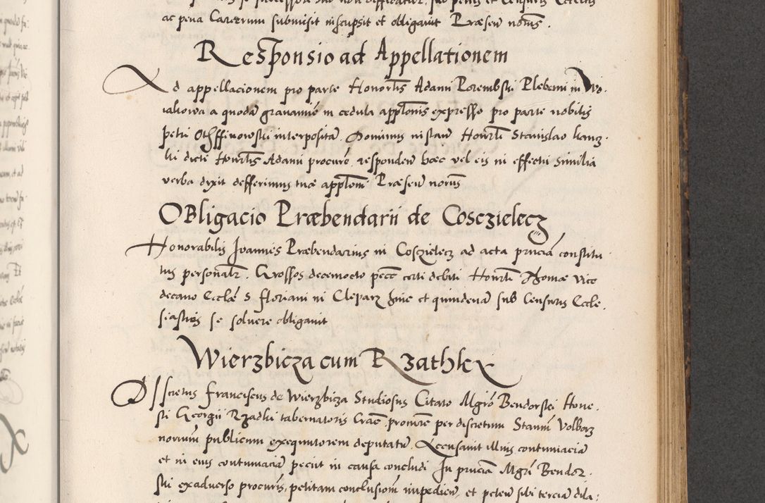 Zdjęcie nr 633 dla obiektu archiwalnego: Acta actorum causarum, sentenciarum diffinitivarum quam interloquutiorum, decretorum, obligationum, quietationum et constitutionum procuratorum coram reverndo domino Petri Porembski preposito Ossviencimensi, canonico et officiali Cracoviensi generali ad annum Dimini 1556, inditione quatuor decima, pontificatus sanctissimi in Christo patris domini Pauli divina providencia pape IIII anno ispius.