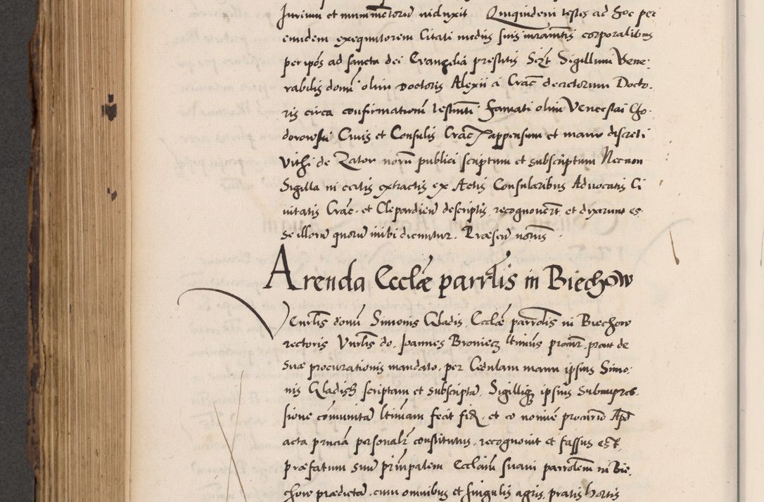 Zdjęcie nr 628 dla obiektu archiwalnego: Acta actorum causarum, sentenciarum diffinitivarum quam interloquutiorum, decretorum, obligationum, quietationum et constitutionum procuratorum coram reverndo domino Petri Porembski preposito Ossviencimensi, canonico et officiali Cracoviensi generali ad annum Dimini 1556, inditione quatuor decima, pontificatus sanctissimi in Christo patris domini Pauli divina providencia pape IIII anno ispius.