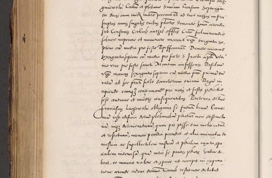 Zdjęcie nr 806 dla obiektu archiwalnego: Acta actorum causarum, sentenciarum diffinitivarum quam interloquutiorum, decretorum, obligationum, quietationum et constitutionum procuratorum coram reverndo domino Petri Porembski preposito Ossviencimensi, canonico et officiali Cracoviensi generali ad annum Dimini 1556, inditione quatuor decima, pontificatus sanctissimi in Christo patris domini Pauli divina providencia pape IIII anno ispius.