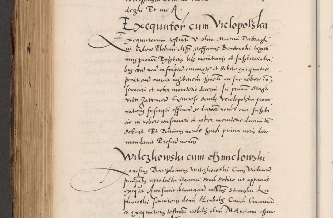 Zdjęcie nr 804 dla obiektu archiwalnego: Acta actorum causarum, sentenciarum diffinitivarum quam interloquutiorum, decretorum, obligationum, quietationum et constitutionum procuratorum coram reverndo domino Petri Porembski preposito Ossviencimensi, canonico et officiali Cracoviensi generali ad annum Dimini 1556, inditione quatuor decima, pontificatus sanctissimi in Christo patris domini Pauli divina providencia pape IIII anno ispius.