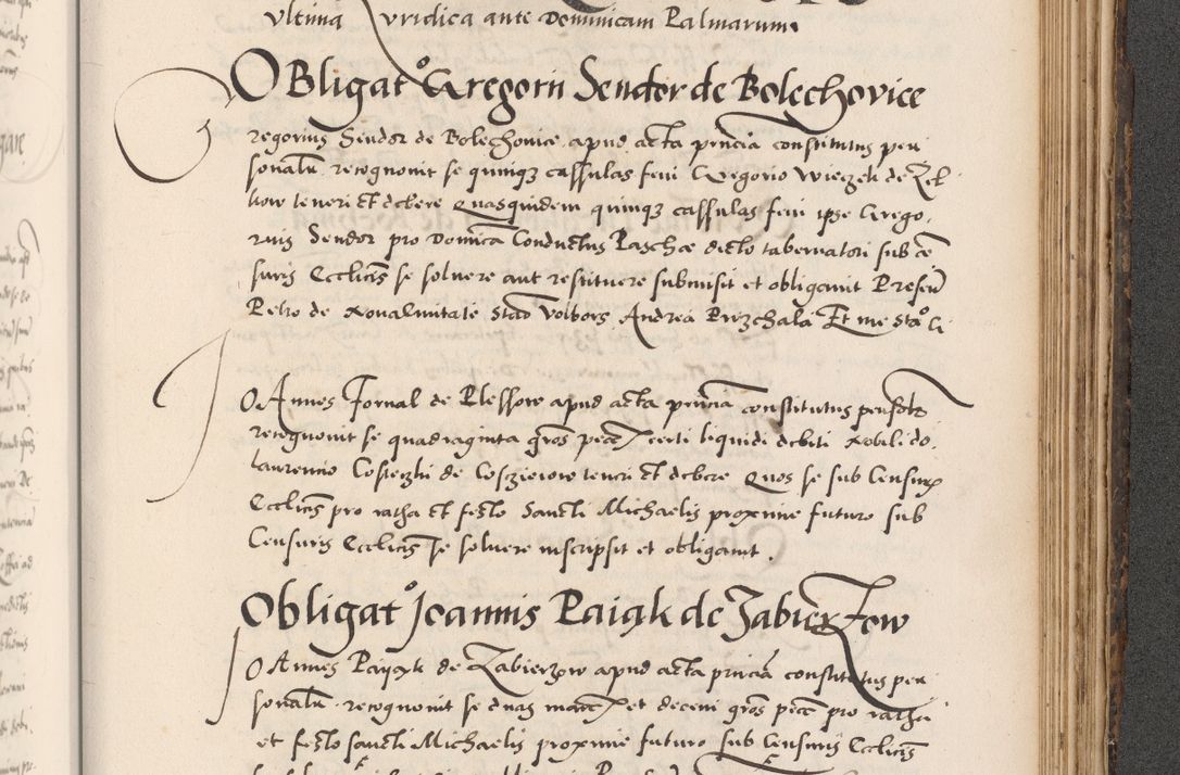 Zdjęcie nr 929 dla obiektu archiwalnego: Acta actorum causarum, sentenciarum diffinitivarum quam interloquutiorum, decretorum, obligationum, quietationum et constitutionum procuratorum coram reverndo domino Petri Porembski preposito Ossviencimensi, canonico et officiali Cracoviensi generali ad annum Dimini 1556, inditione quatuor decima, pontificatus sanctissimi in Christo patris domini Pauli divina providencia pape IIII anno ispius.