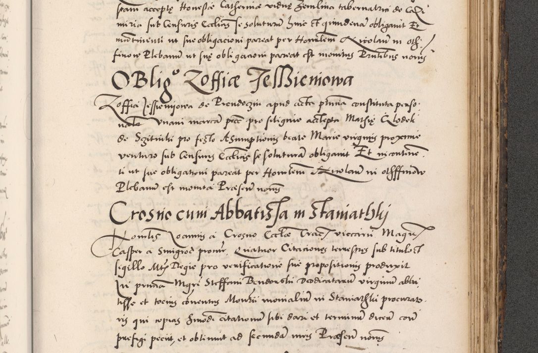 Zdjęcie nr 911 dla obiektu archiwalnego: Acta actorum causarum, sentenciarum diffinitivarum quam interloquutiorum, decretorum, obligationum, quietationum et constitutionum procuratorum coram reverndo domino Petri Porembski preposito Ossviencimensi, canonico et officiali Cracoviensi generali ad annum Dimini 1556, inditione quatuor decima, pontificatus sanctissimi in Christo patris domini Pauli divina providencia pape IIII anno ispius.