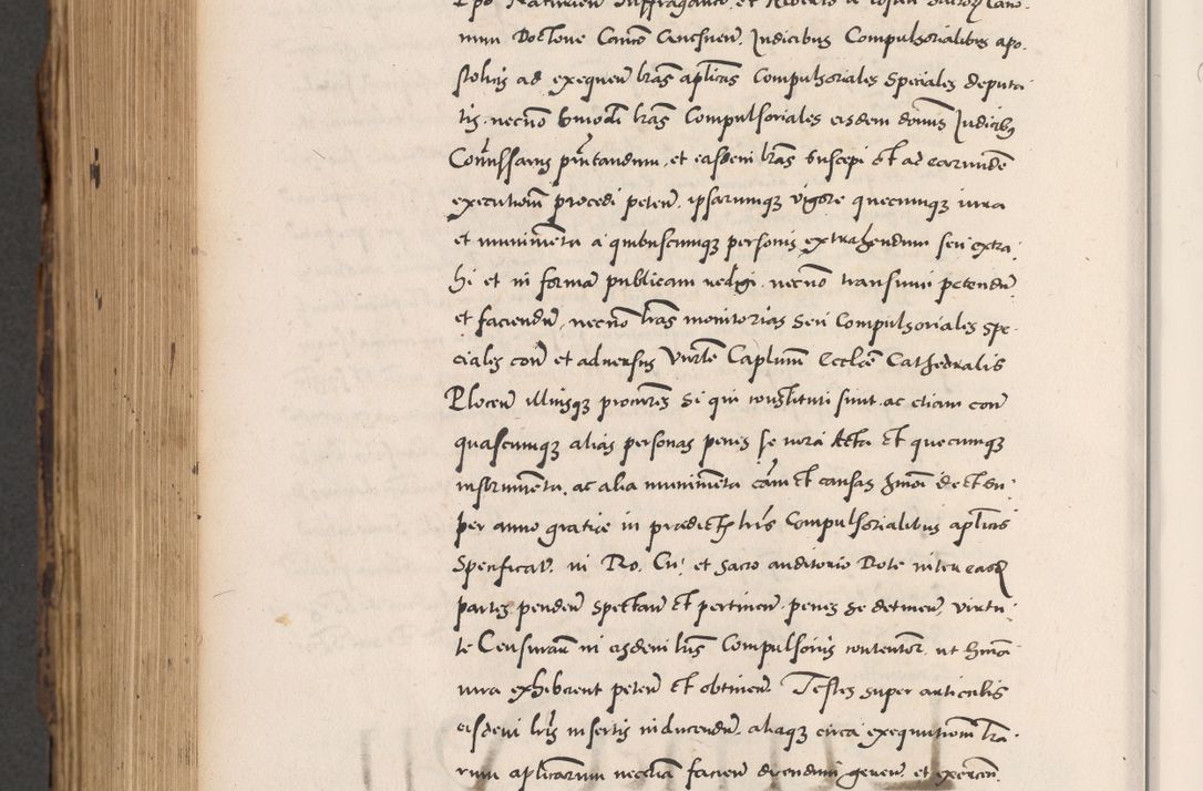 Zdjęcie nr 878 dla obiektu archiwalnego: Acta actorum causarum, sentenciarum diffinitivarum quam interloquutiorum, decretorum, obligationum, quietationum et constitutionum procuratorum coram reverndo domino Petri Porembski preposito Ossviencimensi, canonico et officiali Cracoviensi generali ad annum Dimini 1556, inditione quatuor decima, pontificatus sanctissimi in Christo patris domini Pauli divina providencia pape IIII anno ispius.