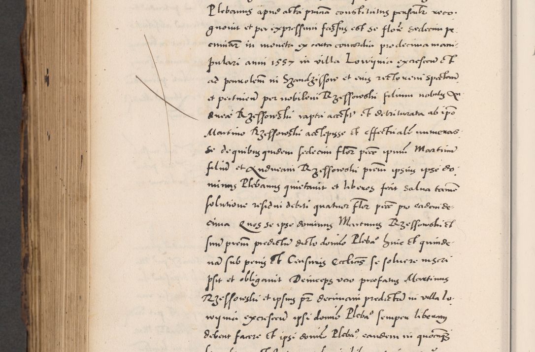 Zdjęcie nr 864 dla obiektu archiwalnego: Acta actorum causarum, sentenciarum diffinitivarum quam interloquutiorum, decretorum, obligationum, quietationum et constitutionum procuratorum coram reverndo domino Petri Porembski preposito Ossviencimensi, canonico et officiali Cracoviensi generali ad annum Dimini 1556, inditione quatuor decima, pontificatus sanctissimi in Christo patris domini Pauli divina providencia pape IIII anno ispius.