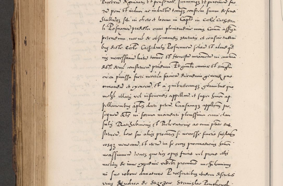 Zdjęcie nr 854 dla obiektu archiwalnego: Acta actorum causarum, sentenciarum diffinitivarum quam interloquutiorum, decretorum, obligationum, quietationum et constitutionum procuratorum coram reverndo domino Petri Porembski preposito Ossviencimensi, canonico et officiali Cracoviensi generali ad annum Dimini 1556, inditione quatuor decima, pontificatus sanctissimi in Christo patris domini Pauli divina providencia pape IIII anno ispius.