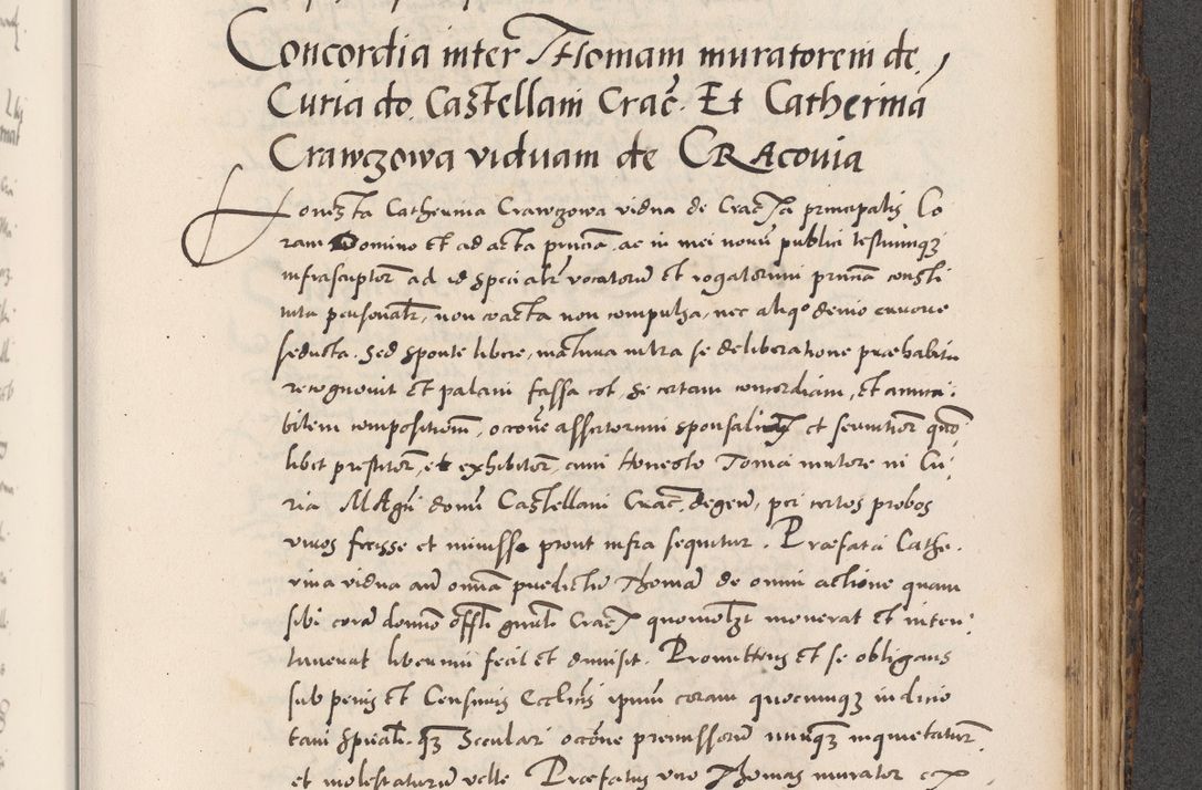 Zdjęcie nr 833 dla obiektu archiwalnego: Acta actorum causarum, sentenciarum diffinitivarum quam interloquutiorum, decretorum, obligationum, quietationum et constitutionum procuratorum coram reverndo domino Petri Porembski preposito Ossviencimensi, canonico et officiali Cracoviensi generali ad annum Dimini 1556, inditione quatuor decima, pontificatus sanctissimi in Christo patris domini Pauli divina providencia pape IIII anno ispius.