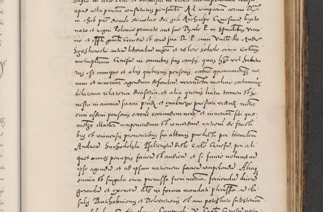 Zdjęcie nr 831 dla obiektu archiwalnego: Acta actorum causarum, sentenciarum diffinitivarum quam interloquutiorum, decretorum, obligationum, quietationum et constitutionum procuratorum coram reverndo domino Petri Porembski preposito Ossviencimensi, canonico et officiali Cracoviensi generali ad annum Dimini 1556, inditione quatuor decima, pontificatus sanctissimi in Christo patris domini Pauli divina providencia pape IIII anno ispius.