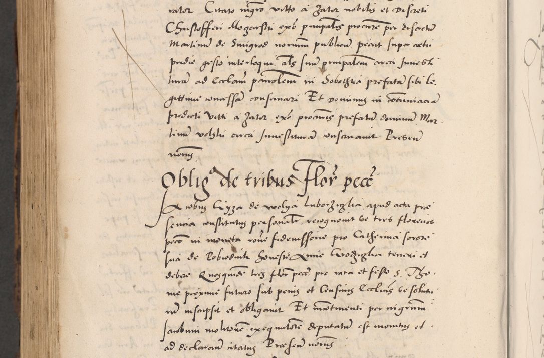 Zdjęcie nr 1146 dla obiektu archiwalnego: Acta actorum causarum, sentenciarum diffinitivarum quam interloquutiorum, decretorum, obligationum, quietationum et constitutionum procuratorum coram reverndo domino Petri Porembski preposito Ossviencimensi, canonico et officiali Cracoviensi generali ad annum Dimini 1556, inditione quatuor decima, pontificatus sanctissimi in Christo patris domini Pauli divina providencia pape IIII anno ispius.