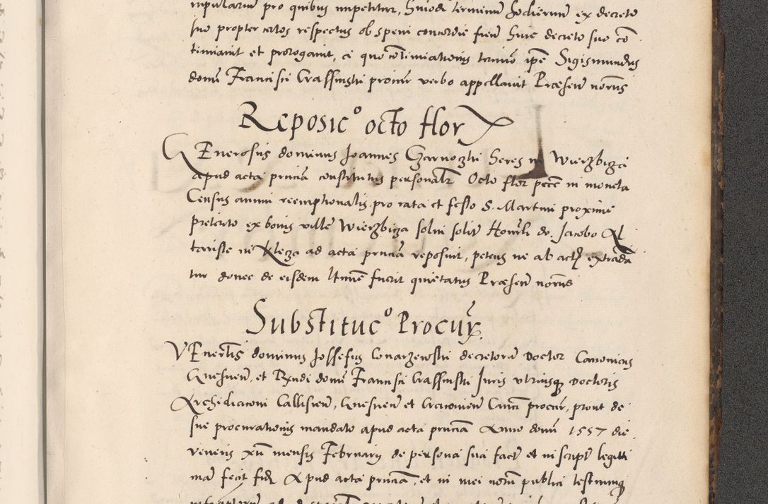 Zdjęcie nr 1141 dla obiektu archiwalnego: Acta actorum causarum, sentenciarum diffinitivarum quam interloquutiorum, decretorum, obligationum, quietationum et constitutionum procuratorum coram reverndo domino Petri Porembski preposito Ossviencimensi, canonico et officiali Cracoviensi generali ad annum Dimini 1556, inditione quatuor decima, pontificatus sanctissimi in Christo patris domini Pauli divina providencia pape IIII anno ispius.