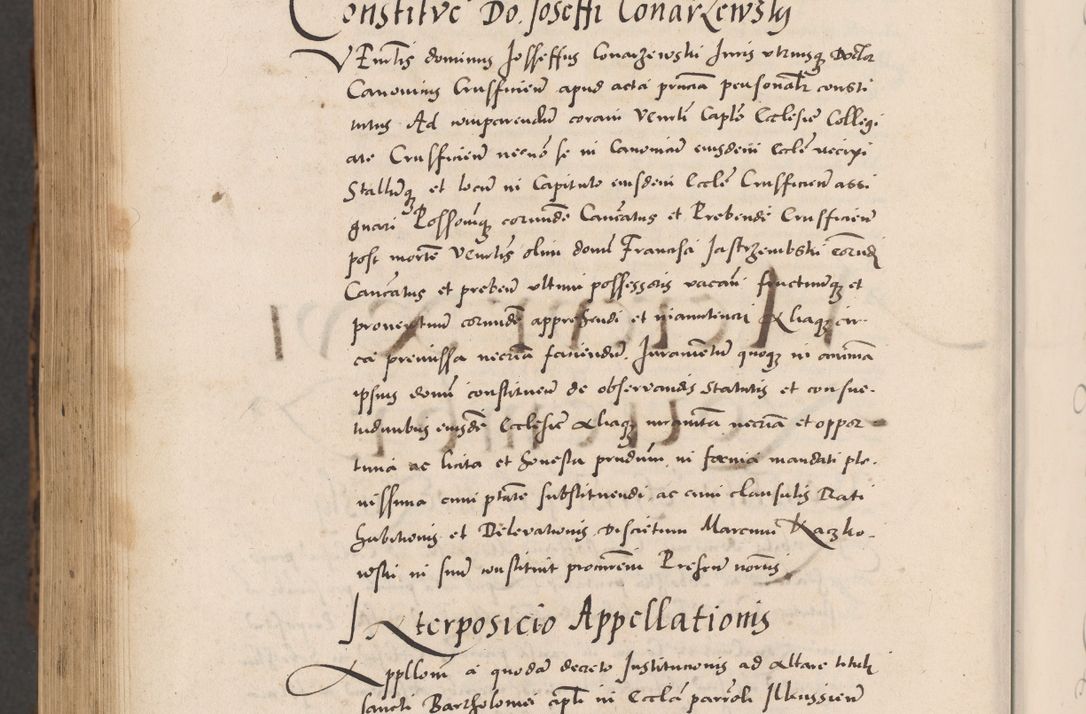 Zdjęcie nr 1136 dla obiektu archiwalnego: Acta actorum causarum, sentenciarum diffinitivarum quam interloquutiorum, decretorum, obligationum, quietationum et constitutionum procuratorum coram reverndo domino Petri Porembski preposito Ossviencimensi, canonico et officiali Cracoviensi generali ad annum Dimini 1556, inditione quatuor decima, pontificatus sanctissimi in Christo patris domini Pauli divina providencia pape IIII anno ispius.