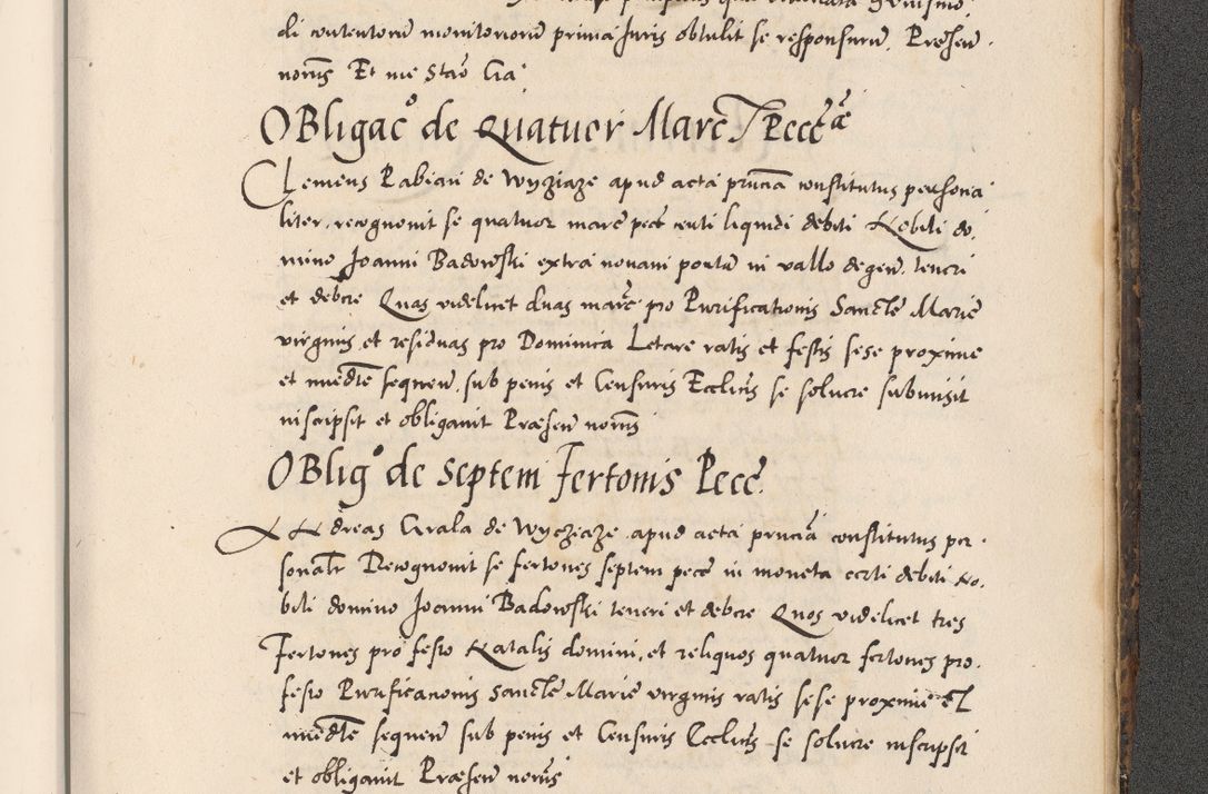 Zdjęcie nr 1125 dla obiektu archiwalnego: Acta actorum causarum, sentenciarum diffinitivarum quam interloquutiorum, decretorum, obligationum, quietationum et constitutionum procuratorum coram reverndo domino Petri Porembski preposito Ossviencimensi, canonico et officiali Cracoviensi generali ad annum Dimini 1556, inditione quatuor decima, pontificatus sanctissimi in Christo patris domini Pauli divina providencia pape IIII anno ispius.