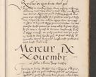 Zdjęcie nr 1123 dla obiektu archiwalnego: Acta actorum causarum, sentenciarum diffinitivarum quam interloquutiorum, decretorum, obligationum, quietationum et constitutionum procuratorum coram reverndo domino Petri Porembski preposito Ossviencimensi, canonico et officiali Cracoviensi generali ad annum Dimini 1556, inditione quatuor decima, pontificatus sanctissimi in Christo patris domini Pauli divina providencia pape IIII anno ispius.
