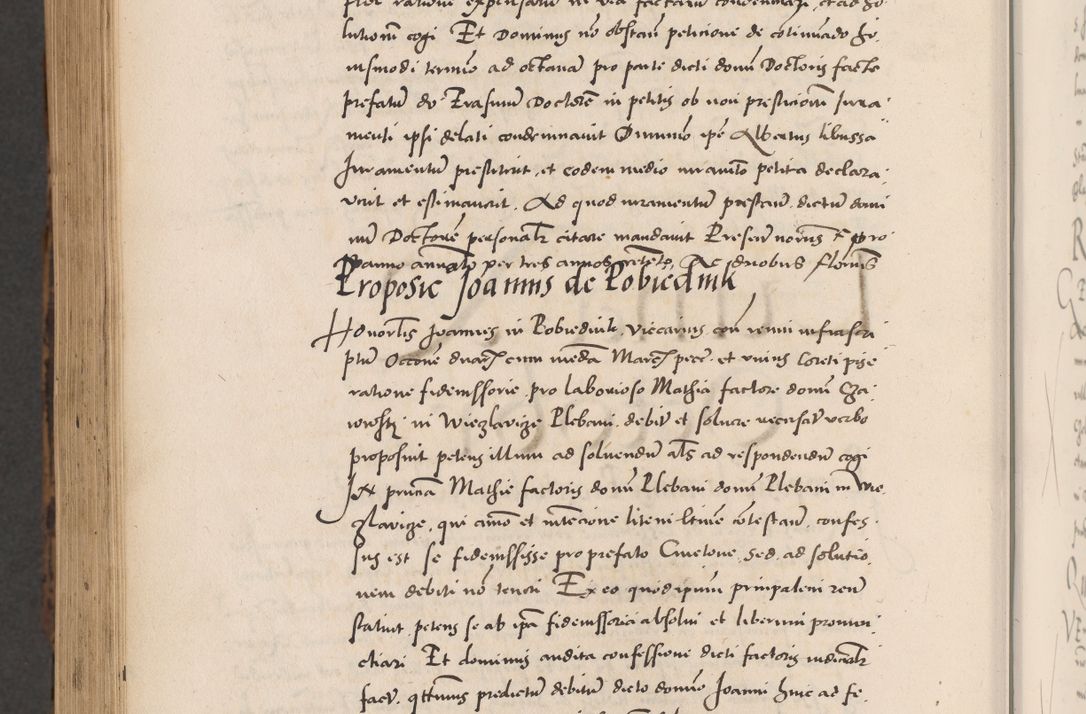 Zdjęcie nr 1098 dla obiektu archiwalnego: Acta actorum causarum, sentenciarum diffinitivarum quam interloquutiorum, decretorum, obligationum, quietationum et constitutionum procuratorum coram reverndo domino Petri Porembski preposito Ossviencimensi, canonico et officiali Cracoviensi generali ad annum Dimini 1556, inditione quatuor decima, pontificatus sanctissimi in Christo patris domini Pauli divina providencia pape IIII anno ispius.