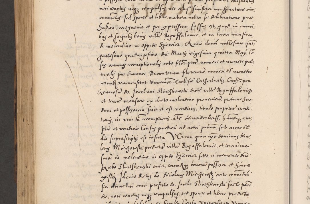 Zdjęcie nr 1088 dla obiektu archiwalnego: Acta actorum causarum, sentenciarum diffinitivarum quam interloquutiorum, decretorum, obligationum, quietationum et constitutionum procuratorum coram reverndo domino Petri Porembski preposito Ossviencimensi, canonico et officiali Cracoviensi generali ad annum Dimini 1556, inditione quatuor decima, pontificatus sanctissimi in Christo patris domini Pauli divina providencia pape IIII anno ispius.