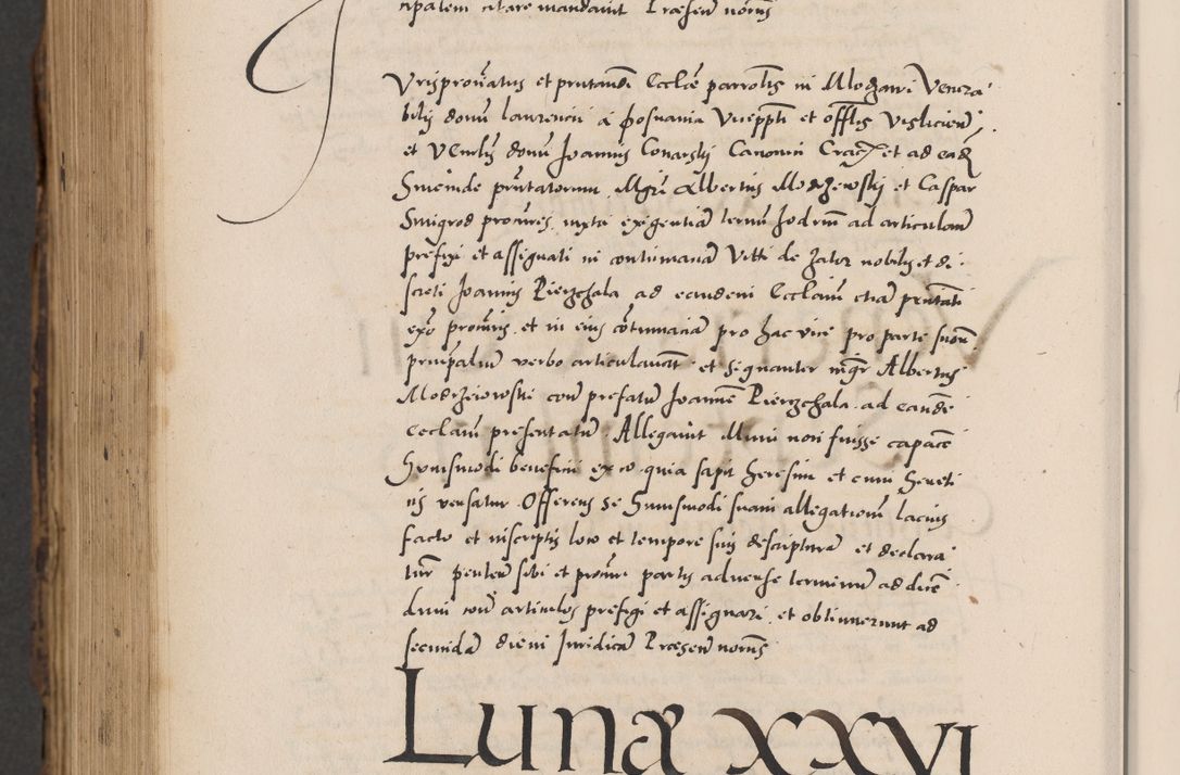 Zdjęcie nr 1076 dla obiektu archiwalnego: Acta actorum causarum, sentenciarum diffinitivarum quam interloquutiorum, decretorum, obligationum, quietationum et constitutionum procuratorum coram reverndo domino Petri Porembski preposito Ossviencimensi, canonico et officiali Cracoviensi generali ad annum Dimini 1556, inditione quatuor decima, pontificatus sanctissimi in Christo patris domini Pauli divina providencia pape IIII anno ispius.