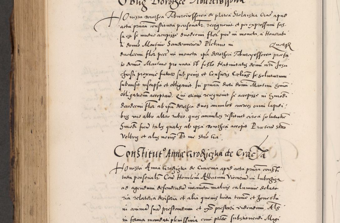 Zdjęcie nr 1050 dla obiektu archiwalnego: Acta actorum causarum, sentenciarum diffinitivarum quam interloquutiorum, decretorum, obligationum, quietationum et constitutionum procuratorum coram reverndo domino Petri Porembski preposito Ossviencimensi, canonico et officiali Cracoviensi generali ad annum Dimini 1556, inditione quatuor decima, pontificatus sanctissimi in Christo patris domini Pauli divina providencia pape IIII anno ispius.