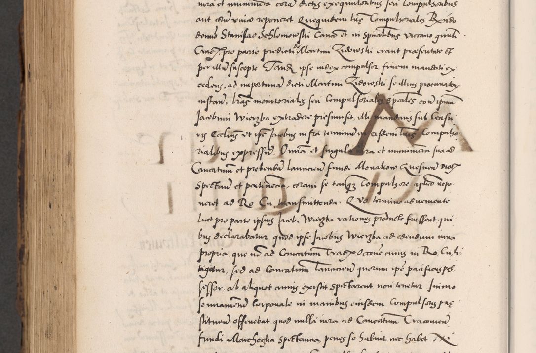 Zdjęcie nr 1020 dla obiektu archiwalnego: Acta actorum causarum, sentenciarum diffinitivarum quam interloquutiorum, decretorum, obligationum, quietationum et constitutionum procuratorum coram reverndo domino Petri Porembski preposito Ossviencimensi, canonico et officiali Cracoviensi generali ad annum Dimini 1556, inditione quatuor decima, pontificatus sanctissimi in Christo patris domini Pauli divina providencia pape IIII anno ispius.
