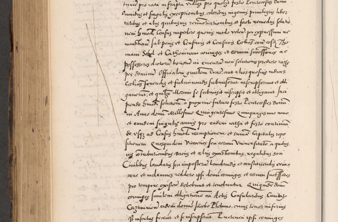 Zdjęcie nr 1002 dla obiektu archiwalnego: Acta actorum causarum, sentenciarum diffinitivarum quam interloquutiorum, decretorum, obligationum, quietationum et constitutionum procuratorum coram reverndo domino Petri Porembski preposito Ossviencimensi, canonico et officiali Cracoviensi generali ad annum Dimini 1556, inditione quatuor decima, pontificatus sanctissimi in Christo patris domini Pauli divina providencia pape IIII anno ispius.