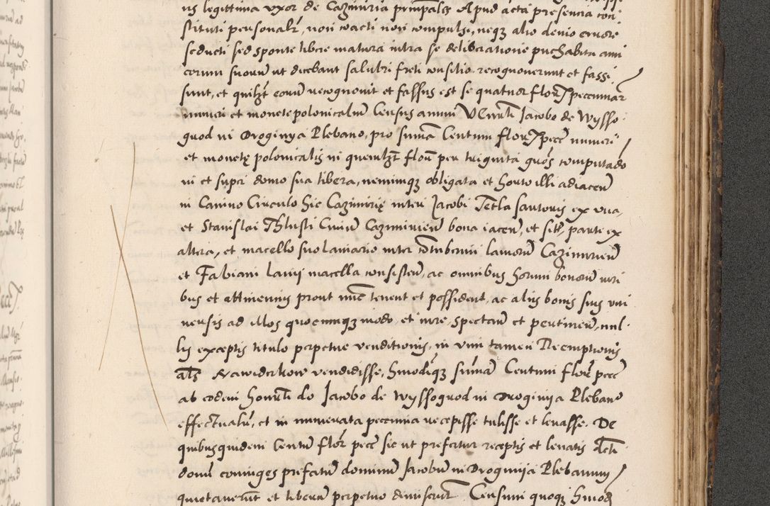 Zdjęcie nr 1001 dla obiektu archiwalnego: Acta actorum causarum, sentenciarum diffinitivarum quam interloquutiorum, decretorum, obligationum, quietationum et constitutionum procuratorum coram reverndo domino Petri Porembski preposito Ossviencimensi, canonico et officiali Cracoviensi generali ad annum Dimini 1556, inditione quatuor decima, pontificatus sanctissimi in Christo patris domini Pauli divina providencia pape IIII anno ispius.