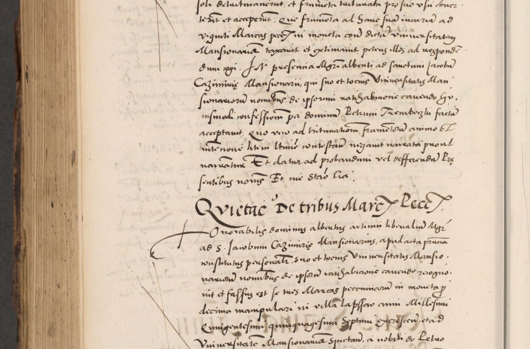 Zdjęcie nr 1000 dla obiektu archiwalnego: Acta actorum causarum, sentenciarum diffinitivarum quam interloquutiorum, decretorum, obligationum, quietationum et constitutionum procuratorum coram reverndo domino Petri Porembski preposito Ossviencimensi, canonico et officiali Cracoviensi generali ad annum Dimini 1556, inditione quatuor decima, pontificatus sanctissimi in Christo patris domini Pauli divina providencia pape IIII anno ispius.