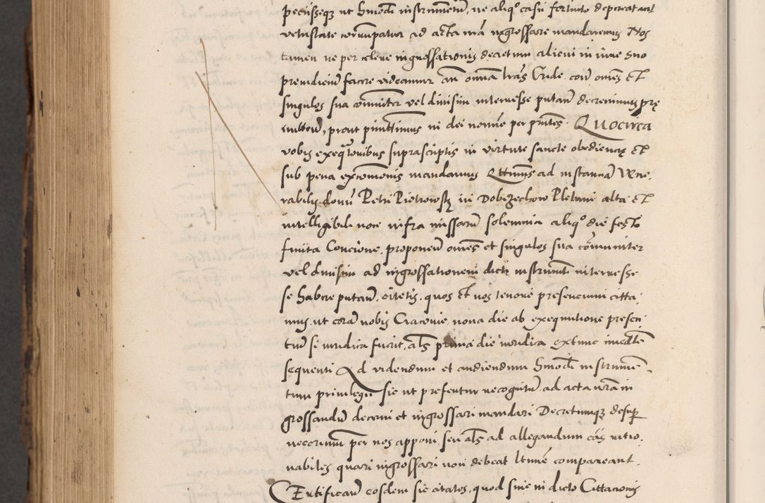 Zdjęcie nr 980 dla obiektu archiwalnego: Acta actorum causarum, sentenciarum diffinitivarum quam interloquutiorum, decretorum, obligationum, quietationum et constitutionum procuratorum coram reverndo domino Petri Porembski preposito Ossviencimensi, canonico et officiali Cracoviensi generali ad annum Dimini 1556, inditione quatuor decima, pontificatus sanctissimi in Christo patris domini Pauli divina providencia pape IIII anno ispius.