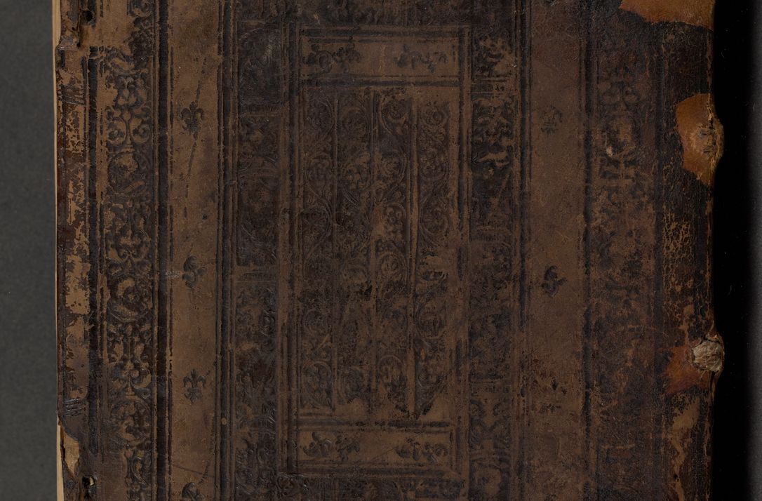 Zdjęcie nr 2 dla obiektu archiwalnego: Acta actorum causarum, sentenciarum diffinitivarum quam interloquutiorum, decretorum, obligationum, quietationum et constitutionum procuratorum coram reverndo domino Petri Porembski preposito Ossviencimensi, canonico et officiali Cracoviensi generali ad annum Dimini 1556, inditione quatuor decima, pontificatus sanctissimi in Christo patris domini Pauli divina providencia pape IIII anno ispius.