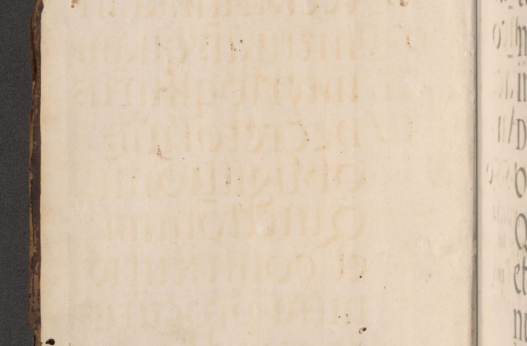 Zdjęcie nr 5 dla obiektu archiwalnego: Acta actorum causarum, sentenciarum diffinitivarum quam interloquutiorum, decretorum, obligationum, quietationum et constitutionum procuratorum coram reverndo domino Petri Porembski preposito Ossviencimensi, canonico et officiali Cracoviensi generali ad annum Dimini 1556, inditione quatuor decima, pontificatus sanctissimi in Christo patris domini Pauli divina providencia pape IIII anno ispius.