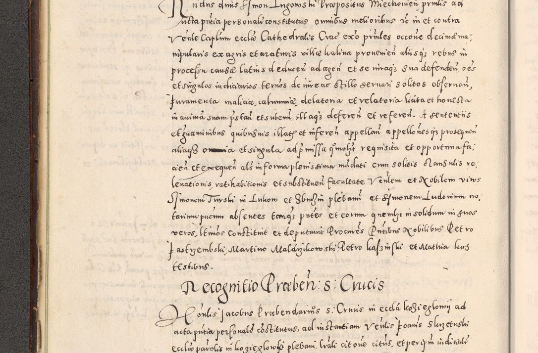 Zdjęcie nr 21 dla obiektu archiwalnego: Acta actorum causarum tam diffinitivarum quam interloquutoriarum sententiarum decretorum obligationum quietatorum constuorum pro reverendum coram Reverendo Domino Alberto Nininski Custode Sandecensis Canonico et Archipresbitero Viccarioque in Spiritualibus ac Officiali Generali Cracoviensis ad Annum Domini Millesimum Qumgentesimum Septuagentesimum Nonum cuius Judictio septima Pontificat SS. nostri Domini Gregory pp. tredecimi Anno septimo inchoantur faliciter