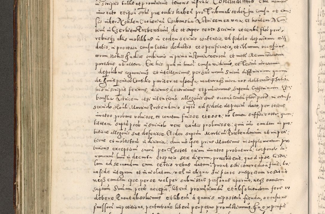 Zdjęcie nr 313 dla obiektu archiwalnego: Acta actorum causarum tam diffinitivarum quam interloquutoriarum sententiarum decretorum obligationum quietatorum constuorum pro reverendum coram Reverendo Domino Alberto Nininski Custode Sandecensis Canonico et Archipresbitero Viccarioque in Spiritualibus ac Officiali Generali Cracoviensis ad Annum Domini Millesimum Qumgentesimum Septuagentesimum Nonum cuius Judictio septima Pontificat SS. nostri Domini Gregory pp. tredecimi Anno septimo inchoantur faliciter