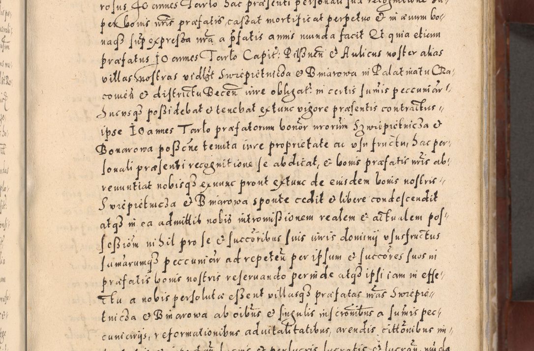 Zdjęcie nr 33 dla obiektu archiwalnego: Acta actorum causarum sententiarum tam diffinitivarum quam interloquutoriarum decretorum obligationum quietationum, constitutionum procuratorum etc. etc. coram Reverendo Domino Stanislao Manieczki Sacratissimi Corporis Christi Cazimiriae Praeposito Viccario in Spiritualibus ac Officiali Generali Cracoviensi ad Annum Domini Millesimum Quingentesimum Octuagesimum Tercium indictione undecima pontificatus Sanctissimi in Christo Patris Domini Nostri Domini Gregorii Divina Providentia Papae Tredecimi Anno ipsius duodecima faeliciter inchoantur 