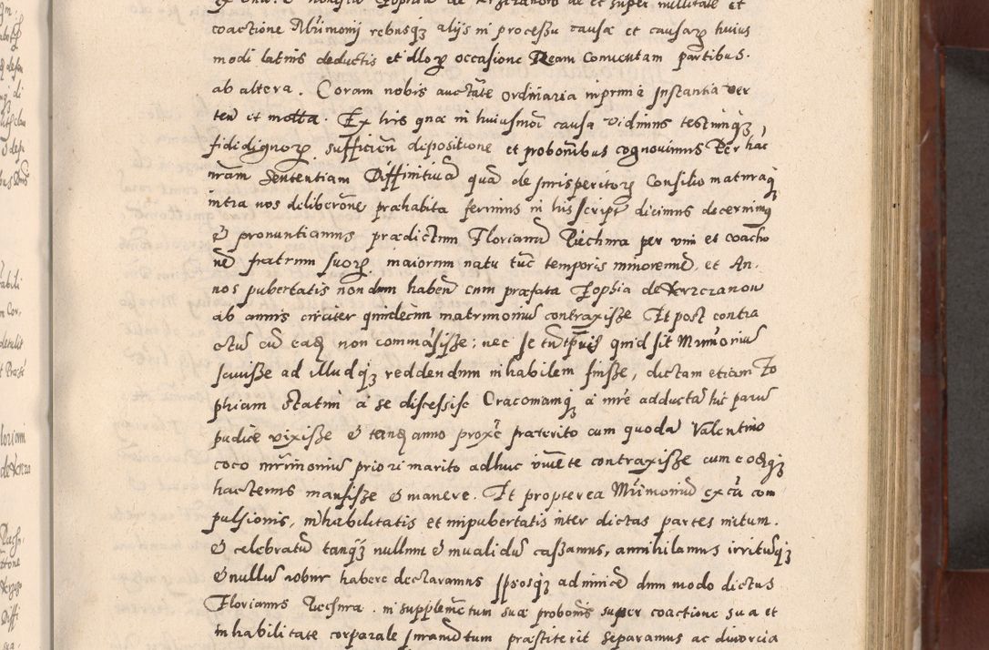 Zdjęcie nr 245 dla obiektu archiwalnego: Acta actorum causarum sententiarum tam diffinitivarum quam interloquutoriarum decretorum obligationum quietationum, constitutionum procuratorum etc. etc. coram Reverendo Domino Stanislao Manieczki Sacratissimi Corporis Christi Cazimiriae Praeposito Viccario in Spiritualibus ac Officiali Generali Cracoviensi ad Annum Domini Millesimum Quingentesimum Octuagesimum Tercium indictione undecima pontificatus Sanctissimi in Christo Patris Domini Nostri Domini Gregorii Divina Providentia Papae Tredecimi Anno ipsius duodecima faeliciter inchoantur 