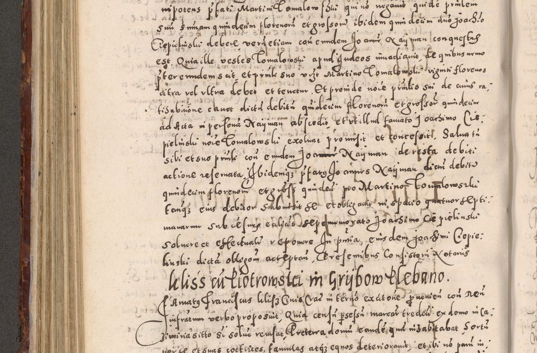 Zdjęcie nr 502 dla obiektu archiwalnego: Acta actorum causarum sententiarum tam diffinitivarum quam interloquutoriarum decretorum obligationum quietationum, constitutionum procuratorum etc. etc. coram Reverendo Domino Stanislao Manieczki Sacratissimi Corporis Christi Cazimiriae Praeposito Viccario in Spiritualibus ac Officiali Generali Cracoviensi ad Annum Domini Millesimum Quingentesimum Octuagesimum Tercium indictione undecima pontificatus Sanctissimi in Christo Patris Domini Nostri Domini Gregorii Divina Providentia Papae Tredecimi Anno ipsius duodecima faeliciter inchoantur 