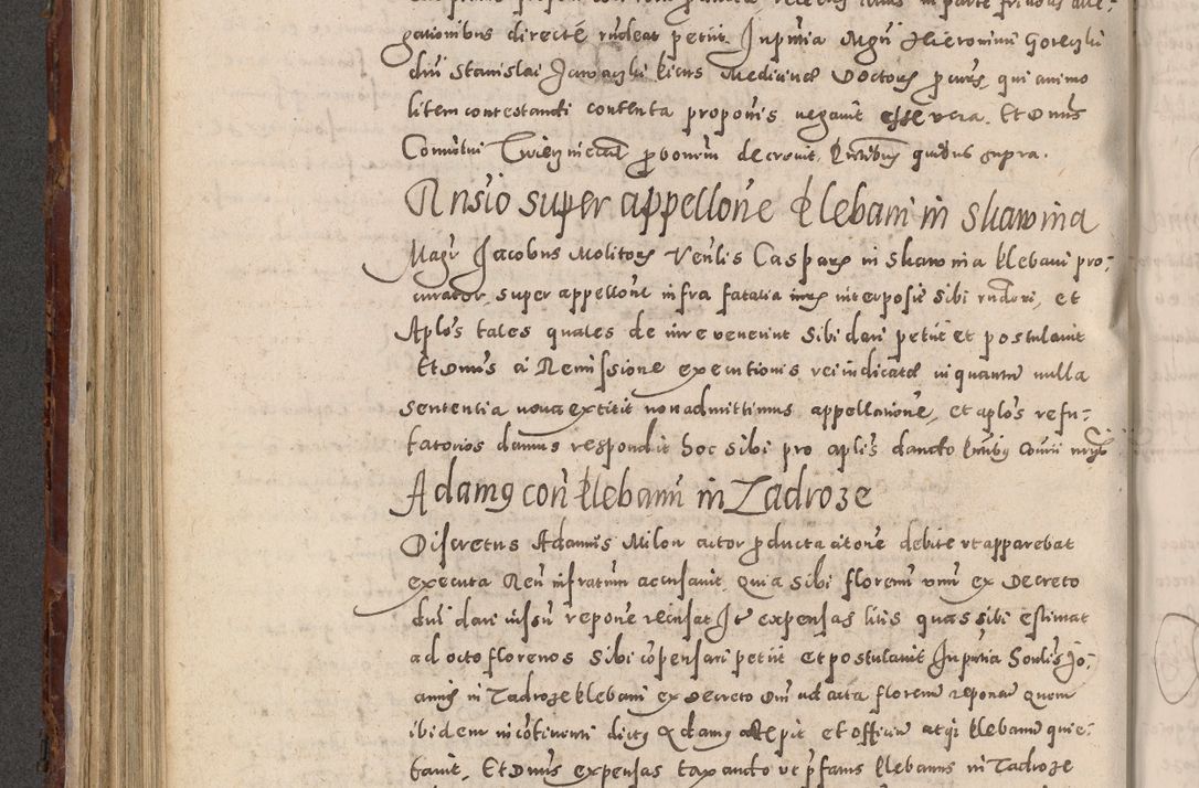 Zdjęcie nr 444 dla obiektu archiwalnego: Acta actorum causarum sententiarum tam diffinitivarum quam interloquutoriarum decretorum obligationum quietationum, constitutionum procuratorum etc. etc. coram Reverendo Domino Stanislao Manieczki Sacratissimi Corporis Christi Cazimiriae Praeposito Viccario in Spiritualibus ac Officiali Generali Cracoviensi ad Annum Domini Millesimum Quingentesimum Octuagesimum Tercium indictione undecima pontificatus Sanctissimi in Christo Patris Domini Nostri Domini Gregorii Divina Providentia Papae Tredecimi Anno ipsius duodecima faeliciter inchoantur 