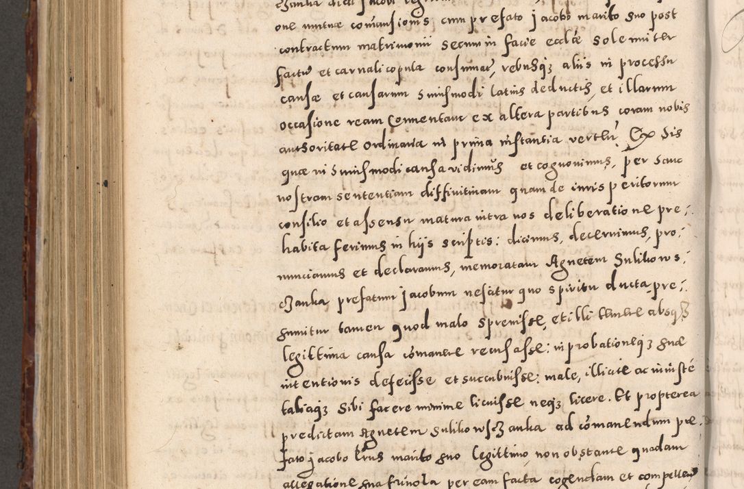 Zdjęcie nr 798 dla obiektu archiwalnego: Acta actorum causarum sententiarum tam diffinitivarum quam interloquutoriarum decretorum obligationum quietationum, constitutionum procuratorum etc. etc. coram Reverendo Domino Stanislao Manieczki Sacratissimi Corporis Christi Cazimiriae Praeposito Viccario in Spiritualibus ac Officiali Generali Cracoviensi ad Annum Domini Millesimum Quingentesimum Octuagesimum Tercium indictione undecima pontificatus Sanctissimi in Christo Patris Domini Nostri Domini Gregorii Divina Providentia Papae Tredecimi Anno ipsius duodecima faeliciter inchoantur 