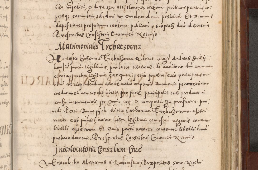 Zdjęcie nr 793 dla obiektu archiwalnego: Acta actorum causarum sententiarum tam diffinitivarum quam interloquutoriarum decretorum obligationum quietationum, constitutionum procuratorum etc. etc. coram Reverendo Domino Stanislao Manieczki Sacratissimi Corporis Christi Cazimiriae Praeposito Viccario in Spiritualibus ac Officiali Generali Cracoviensi ad Annum Domini Millesimum Quingentesimum Octuagesimum Tercium indictione undecima pontificatus Sanctissimi in Christo Patris Domini Nostri Domini Gregorii Divina Providentia Papae Tredecimi Anno ipsius duodecima faeliciter inchoantur 