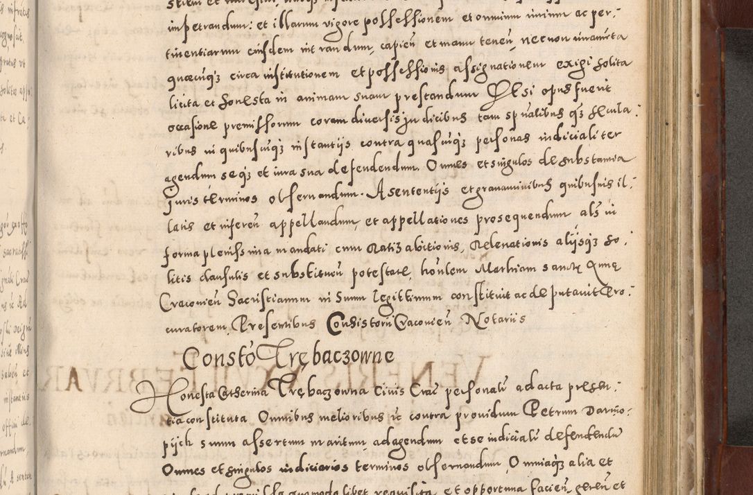 Zdjęcie nr 791 dla obiektu archiwalnego: Acta actorum causarum sententiarum tam diffinitivarum quam interloquutoriarum decretorum obligationum quietationum, constitutionum procuratorum etc. etc. coram Reverendo Domino Stanislao Manieczki Sacratissimi Corporis Christi Cazimiriae Praeposito Viccario in Spiritualibus ac Officiali Generali Cracoviensi ad Annum Domini Millesimum Quingentesimum Octuagesimum Tercium indictione undecima pontificatus Sanctissimi in Christo Patris Domini Nostri Domini Gregorii Divina Providentia Papae Tredecimi Anno ipsius duodecima faeliciter inchoantur 