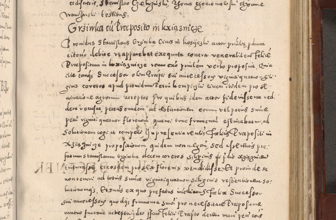 Zdjęcie nr 735 dla obiektu archiwalnego: Acta actorum causarum sententiarum tam diffinitivarum quam interloquutoriarum decretorum obligationum quietationum, constitutionum procuratorum etc. etc. coram Reverendo Domino Stanislao Manieczki Sacratissimi Corporis Christi Cazimiriae Praeposito Viccario in Spiritualibus ac Officiali Generali Cracoviensi ad Annum Domini Millesimum Quingentesimum Octuagesimum Tercium indictione undecima pontificatus Sanctissimi in Christo Patris Domini Nostri Domini Gregorii Divina Providentia Papae Tredecimi Anno ipsius duodecima faeliciter inchoantur 