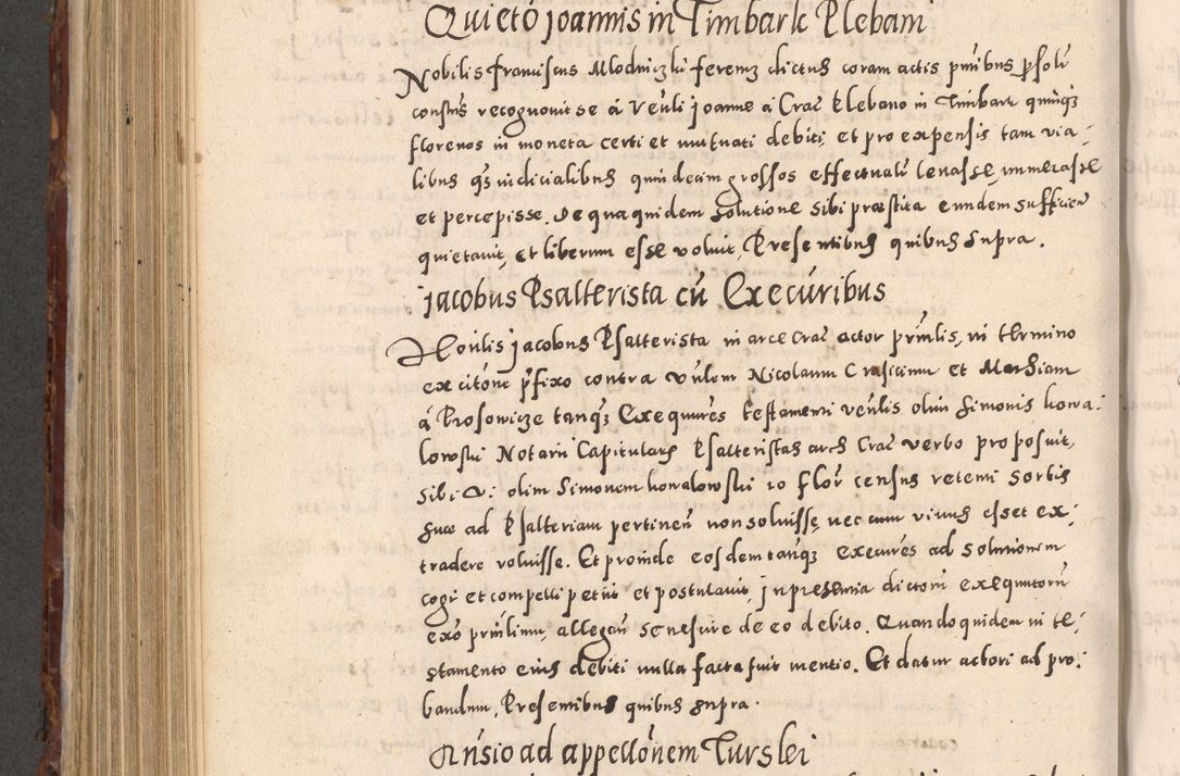 Zdjęcie nr 720 dla obiektu archiwalnego: Acta actorum causarum sententiarum tam diffinitivarum quam interloquutoriarum decretorum obligationum quietationum, constitutionum procuratorum etc. etc. coram Reverendo Domino Stanislao Manieczki Sacratissimi Corporis Christi Cazimiriae Praeposito Viccario in Spiritualibus ac Officiali Generali Cracoviensi ad Annum Domini Millesimum Quingentesimum Octuagesimum Tercium indictione undecima pontificatus Sanctissimi in Christo Patris Domini Nostri Domini Gregorii Divina Providentia Papae Tredecimi Anno ipsius duodecima faeliciter inchoantur 