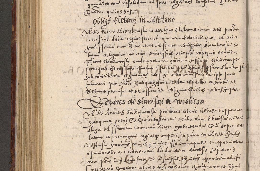 Zdjęcie nr 698 dla obiektu archiwalnego: Acta actorum causarum sententiarum tam diffinitivarum quam interloquutoriarum decretorum obligationum quietationum, constitutionum procuratorum etc. etc. coram Reverendo Domino Stanislao Manieczki Sacratissimi Corporis Christi Cazimiriae Praeposito Viccario in Spiritualibus ac Officiali Generali Cracoviensi ad Annum Domini Millesimum Quingentesimum Octuagesimum Tercium indictione undecima pontificatus Sanctissimi in Christo Patris Domini Nostri Domini Gregorii Divina Providentia Papae Tredecimi Anno ipsius duodecima faeliciter inchoantur 