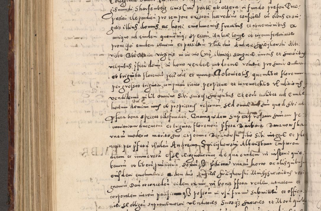 Zdjęcie nr 670 dla obiektu archiwalnego: Acta actorum causarum sententiarum tam diffinitivarum quam interloquutoriarum decretorum obligationum quietationum, constitutionum procuratorum etc. etc. coram Reverendo Domino Stanislao Manieczki Sacratissimi Corporis Christi Cazimiriae Praeposito Viccario in Spiritualibus ac Officiali Generali Cracoviensi ad Annum Domini Millesimum Quingentesimum Octuagesimum Tercium indictione undecima pontificatus Sanctissimi in Christo Patris Domini Nostri Domini Gregorii Divina Providentia Papae Tredecimi Anno ipsius duodecima faeliciter inchoantur 