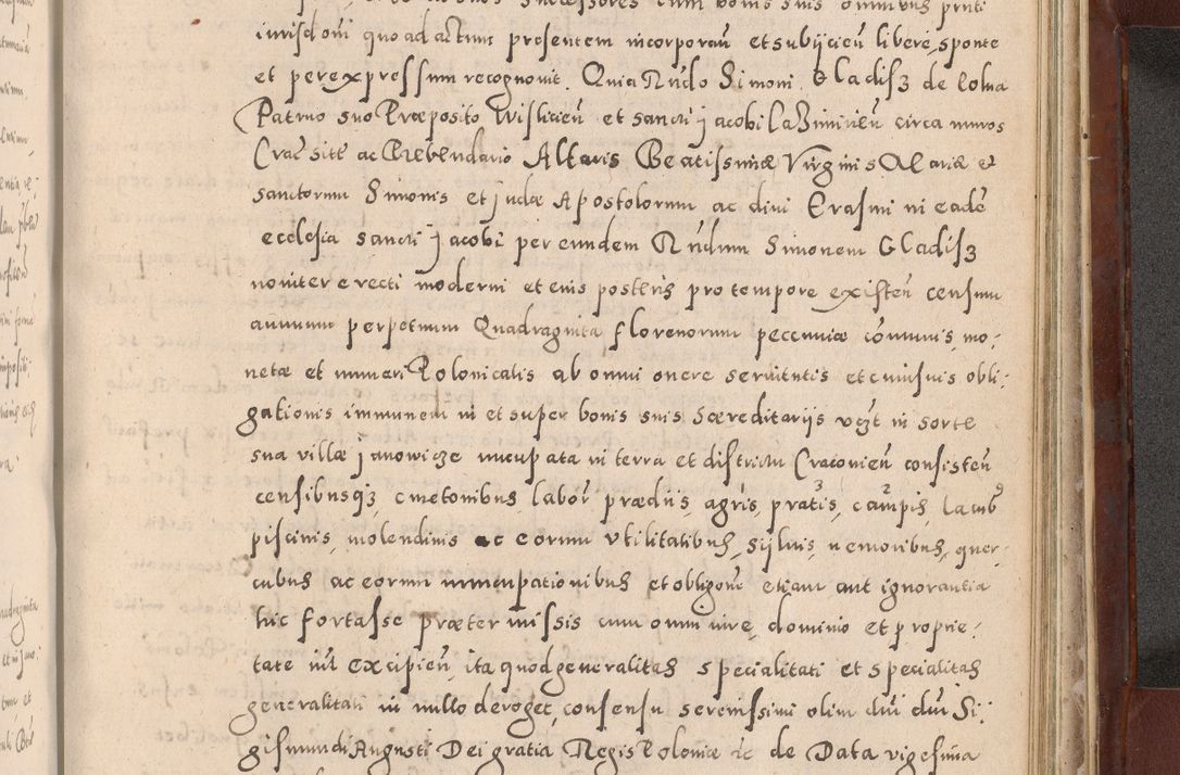 Zdjęcie nr 959 dla obiektu archiwalnego: Acta actorum causarum sententiarum tam diffinitivarum quam interloquutoriarum decretorum obligationum quietationum, constitutionum procuratorum etc. etc. coram Reverendo Domino Stanislao Manieczki Sacratissimi Corporis Christi Cazimiriae Praeposito Viccario in Spiritualibus ac Officiali Generali Cracoviensi ad Annum Domini Millesimum Quingentesimum Octuagesimum Tercium indictione undecima pontificatus Sanctissimi in Christo Patris Domini Nostri Domini Gregorii Divina Providentia Papae Tredecimi Anno ipsius duodecima faeliciter inchoantur 