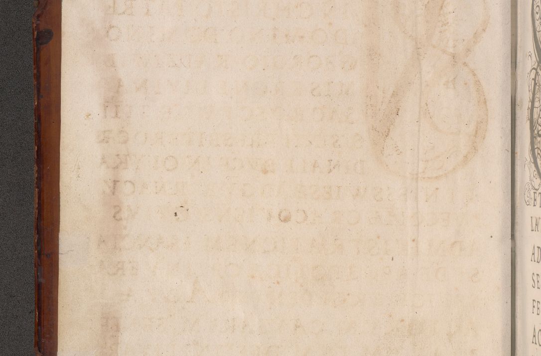 Zdjęcie nr 5 dla obiektu archiwalnego: Illistrissimo et revedissimo in Christo Patre Domino Domino Georgio Rzadziwił Miserone Divina Sacrostae R. E. Tituli S. Sixti Presbitero Cardinali Duce in Olyka et Niesswiesz ad Gubernacula Ecclessiae Cracoviensis cuius administratorialem a Sancta Sede Apostolica obtinverat feliciter sedente. Acta actorum, causarum, sententiarum tam deffinitivarum quam interloquutoriarum decretorum, obligationum, quietationum, recognitionum, constitutionum procuratorum etc. coram Reverendo Domino Stanislao Crassinskz de Crasne Archidiacono Cracoviensis, Scholastico Gnesnesis, Custode Plocensis etc. Vicario et Officiali Generali Cracoviensi in Ano Domini Millesimo Quingentesimo Nonagesimo Primo cuius indictio quarta pontificatus SS. Domini Nostri Gregorii XIIII Anno I psius prio feliciter incipiut