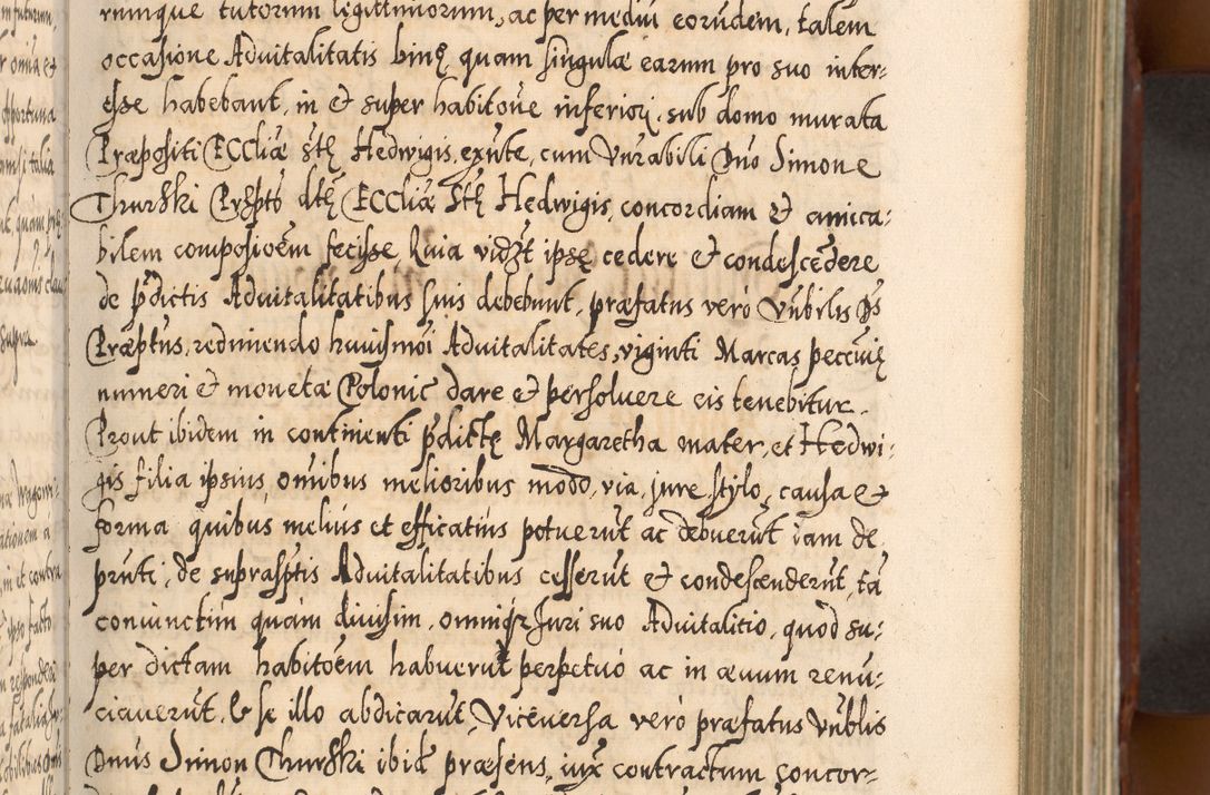 Zdjęcie nr 180 dla obiektu archiwalnego: Illistrissimo et revedissimo in Christo Patre Domino Domino Georgio Rzadziwił Miserone Divina Sacrostae R. E. Tituli S. Sixti Presbitero Cardinali Duce in Olyka et Niesswiesz ad Gubernacula Ecclessiae Cracoviensis cuius administratorialem a Sancta Sede Apostolica obtinverat feliciter sedente. Acta actorum, causarum, sententiarum tam deffinitivarum quam interloquutoriarum decretorum, obligationum, quietationum, recognitionum, constitutionum procuratorum etc. coram Reverendo Domino Stanislao Crassinskz de Crasne Archidiacono Cracoviensis, Scholastico Gnesnesis, Custode Plocensis etc. Vicario et Officiali Generali Cracoviensi in Ano Domini Millesimo Quingentesimo Nonagesimo Primo cuius indictio quarta pontificatus SS. Domini Nostri Gregorii XIIII Anno I psius prio feliciter incipiut