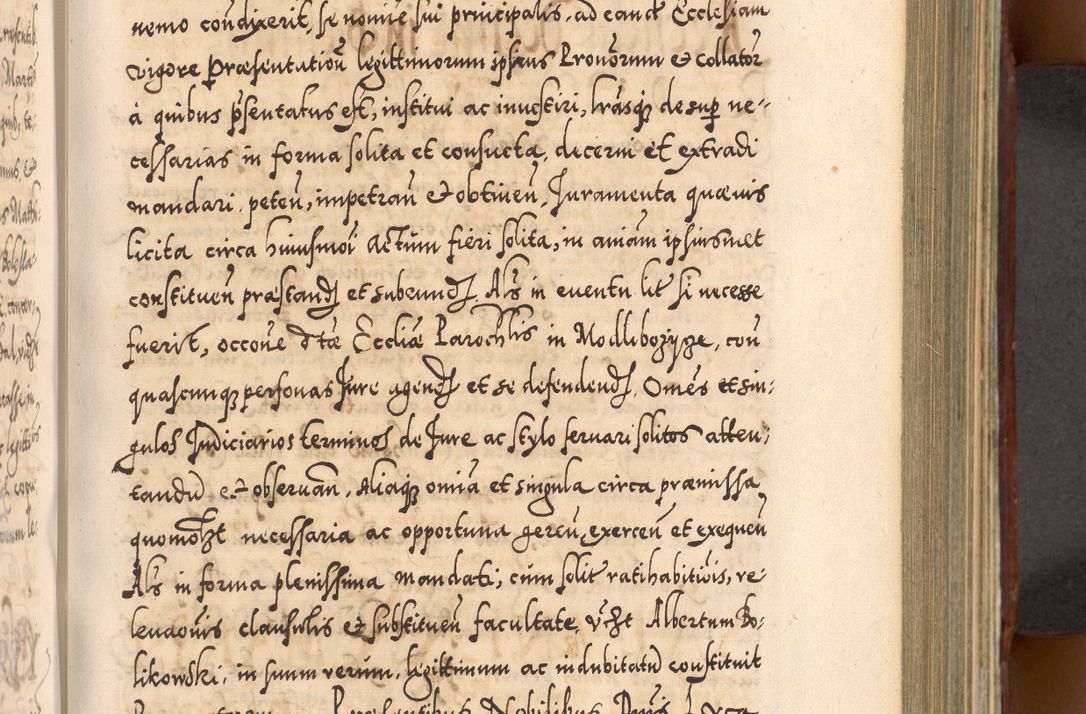 Zdjęcie nr 386 dla obiektu archiwalnego: Illistrissimo et revedissimo in Christo Patre Domino Domino Georgio Rzadziwił Miserone Divina Sacrostae R. E. Tituli S. Sixti Presbitero Cardinali Duce in Olyka et Niesswiesz ad Gubernacula Ecclessiae Cracoviensis cuius administratorialem a Sancta Sede Apostolica obtinverat feliciter sedente. Acta actorum, causarum, sententiarum tam deffinitivarum quam interloquutoriarum decretorum, obligationum, quietationum, recognitionum, constitutionum procuratorum etc. coram Reverendo Domino Stanislao Crassinskz de Crasne Archidiacono Cracoviensis, Scholastico Gnesnesis, Custode Plocensis etc. Vicario et Officiali Generali Cracoviensi in Ano Domini Millesimo Quingentesimo Nonagesimo Primo cuius indictio quarta pontificatus SS. Domini Nostri Gregorii XIIII Anno I psius prio feliciter incipiut