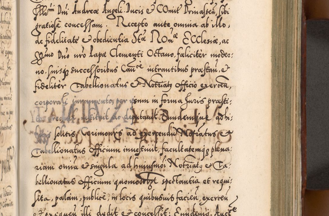 Zdjęcie nr 366 dla obiektu archiwalnego: Illistrissimo et revedissimo in Christo Patre Domino Domino Georgio Rzadziwił Miserone Divina Sacrostae R. E. Tituli S. Sixti Presbitero Cardinali Duce in Olyka et Niesswiesz ad Gubernacula Ecclessiae Cracoviensis cuius administratorialem a Sancta Sede Apostolica obtinverat feliciter sedente. Acta actorum, causarum, sententiarum tam deffinitivarum quam interloquutoriarum decretorum, obligationum, quietationum, recognitionum, constitutionum procuratorum etc. coram Reverendo Domino Stanislao Crassinskz de Crasne Archidiacono Cracoviensis, Scholastico Gnesnesis, Custode Plocensis etc. Vicario et Officiali Generali Cracoviensi in Ano Domini Millesimo Quingentesimo Nonagesimo Primo cuius indictio quarta pontificatus SS. Domini Nostri Gregorii XIIII Anno I psius prio feliciter incipiut