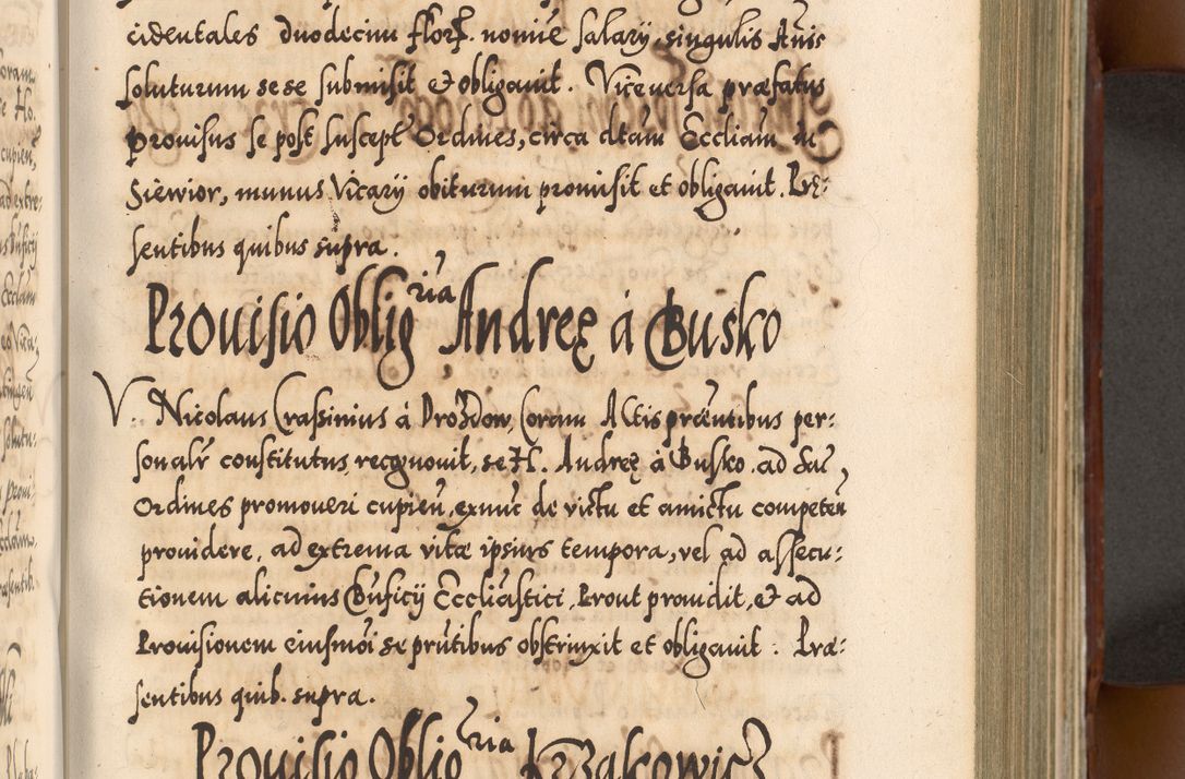 Zdjęcie nr 358 dla obiektu archiwalnego: Illistrissimo et revedissimo in Christo Patre Domino Domino Georgio Rzadziwił Miserone Divina Sacrostae R. E. Tituli S. Sixti Presbitero Cardinali Duce in Olyka et Niesswiesz ad Gubernacula Ecclessiae Cracoviensis cuius administratorialem a Sancta Sede Apostolica obtinverat feliciter sedente. Acta actorum, causarum, sententiarum tam deffinitivarum quam interloquutoriarum decretorum, obligationum, quietationum, recognitionum, constitutionum procuratorum etc. coram Reverendo Domino Stanislao Crassinskz de Crasne Archidiacono Cracoviensis, Scholastico Gnesnesis, Custode Plocensis etc. Vicario et Officiali Generali Cracoviensi in Ano Domini Millesimo Quingentesimo Nonagesimo Primo cuius indictio quarta pontificatus SS. Domini Nostri Gregorii XIIII Anno I psius prio feliciter incipiut